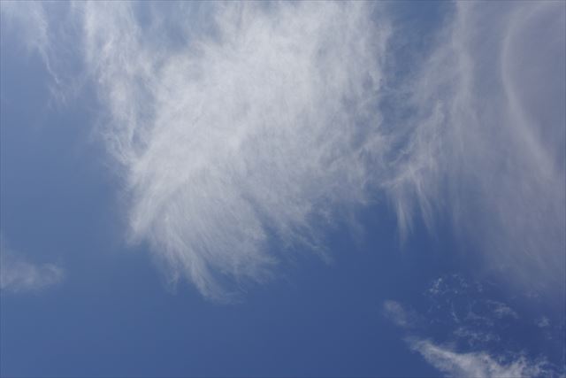 心までハレバレ。今日の天気