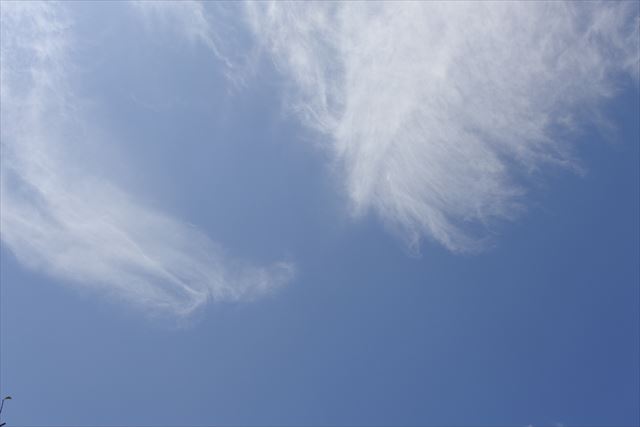 天気予報どおり晴れ！