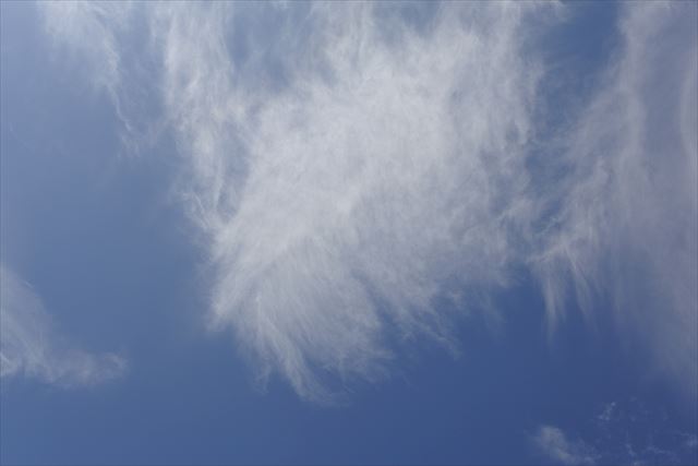 いい天気でうれしいな