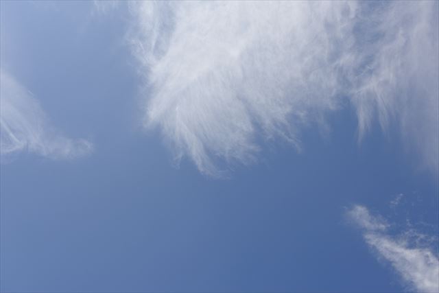 よく晴れてるなぁ