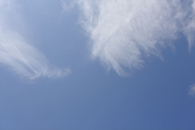 真っ青な空ですね