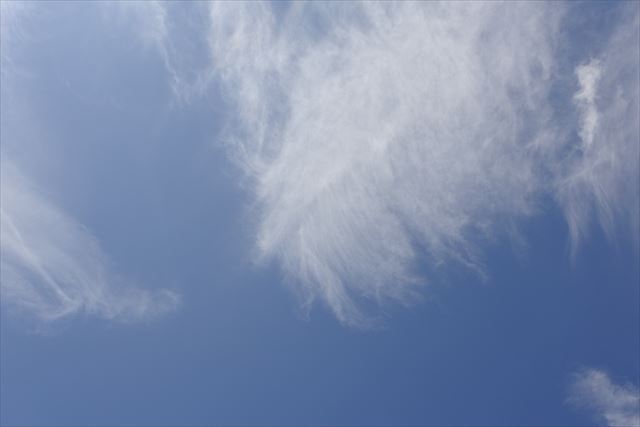 青空が広がっています