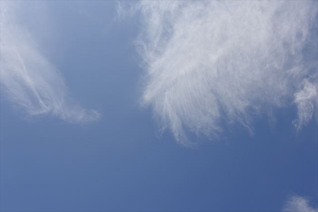 いいお天気になりました