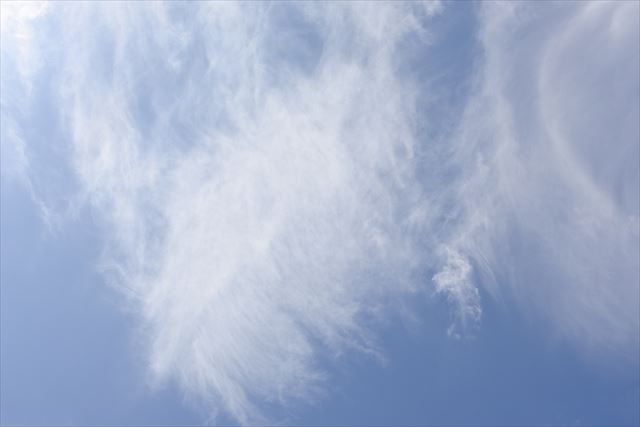 晴れて気持ちいいな