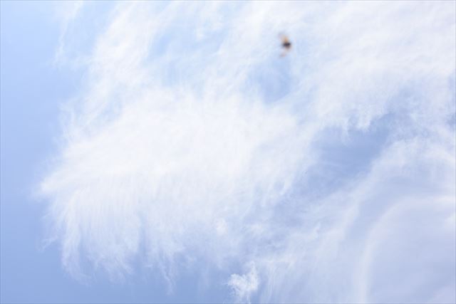 空。黒いしみはなんだ？