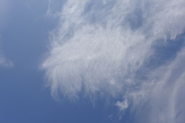 よく晴れています。