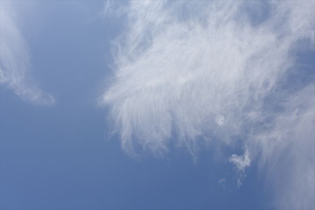 今日もいいお天気です