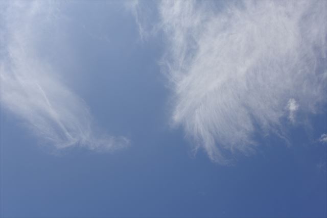 真っ青な空が広がっています