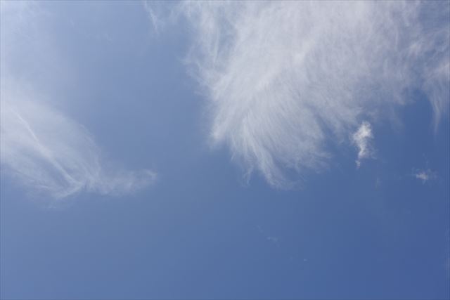 夏空。大好き。