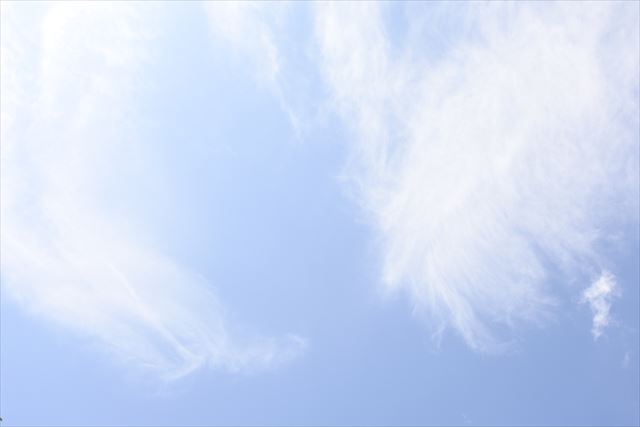 真夏の空。陽射しが強いです
