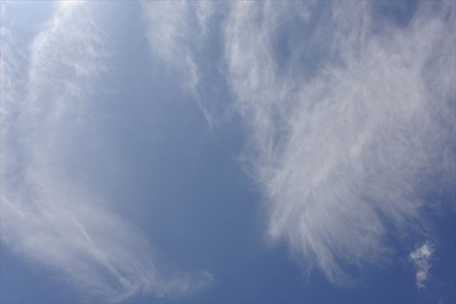 真っ青な空がきれいで思わず写真に撮りました。