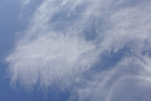 いい天気だな、今日も。