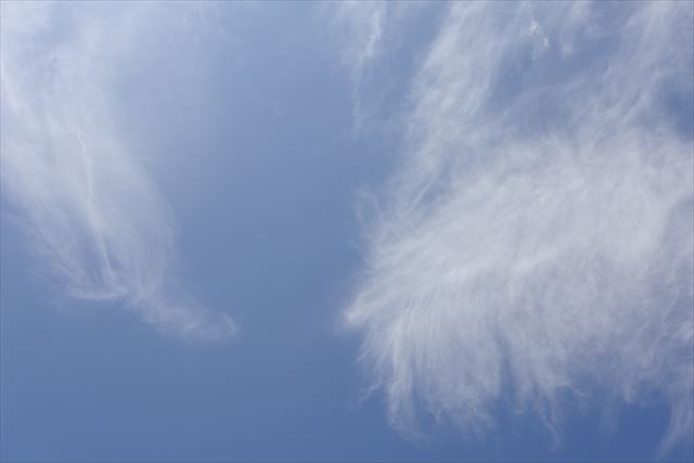 今日もよく晴れています