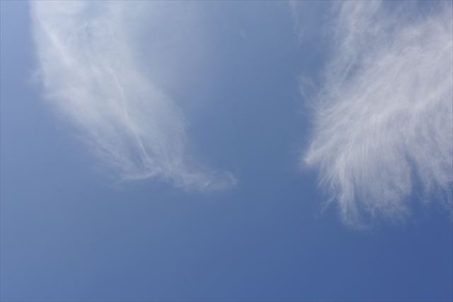 真っ青な空です