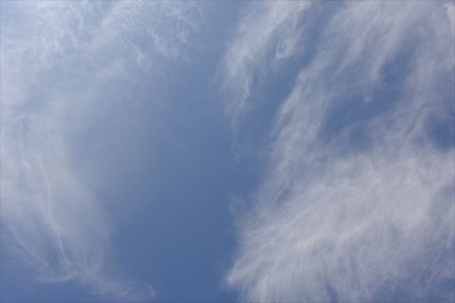 いいお天気です