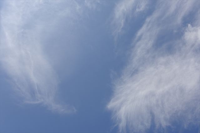 天気がいいと気持ちまで晴れやかです