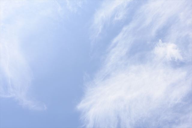 今日はいいお天気になりました