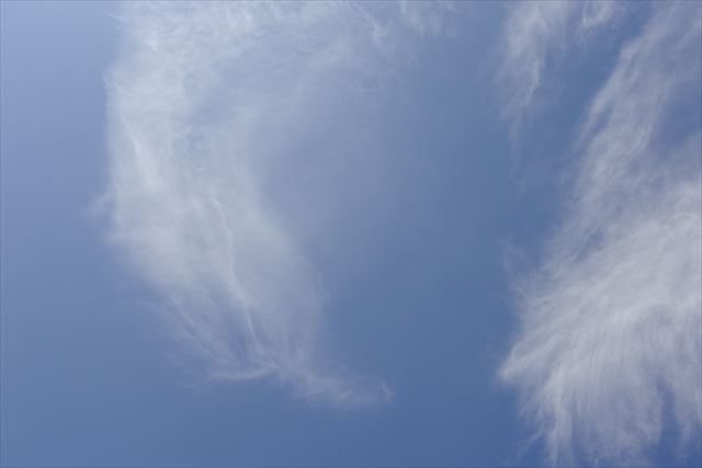 お天気に恵まれました