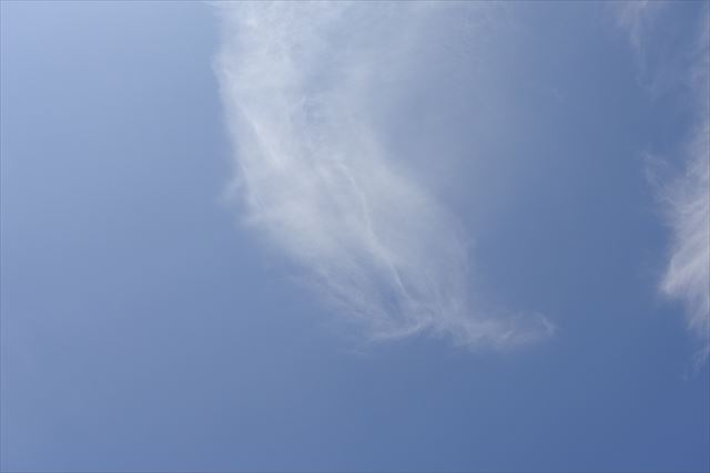 天気予報どおり晴れ