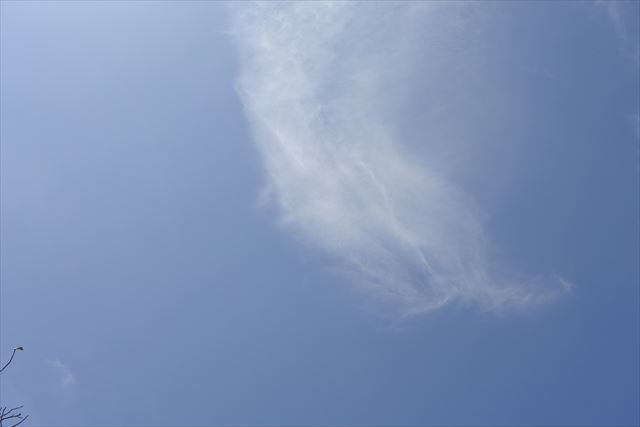 いいお天気でよかったです