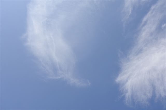 今日も暑くなりそうだ