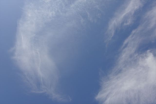 良い天気だなぁ