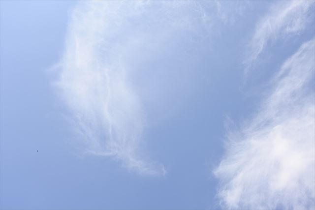 空を仰ぐのが好き。晴れてたら最高