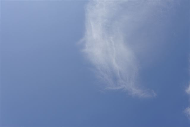 今日もいい天気。幸せ