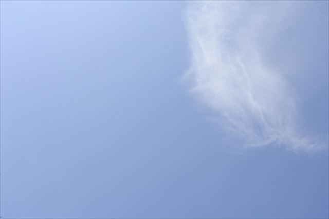 晴れています。天気予報どおりです