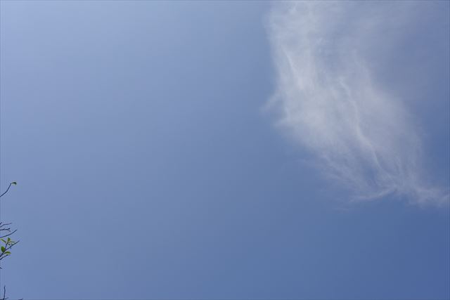 いい天気だなぁ