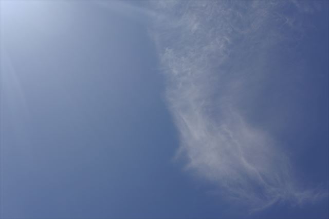 きれいな青空が広がっています