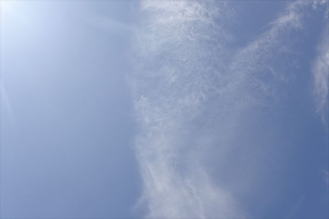 いい天気だな。散歩に行きたいな