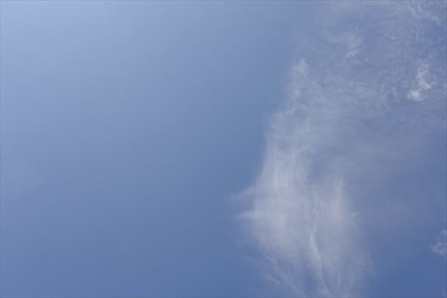 いいお天気になりました