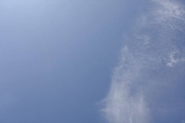 天気予報のとおりよく晴れています。