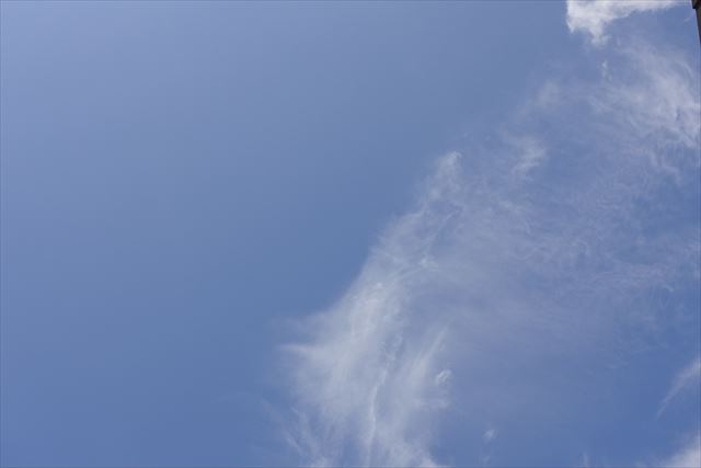 快晴。気持ちのいい１日になりそうです