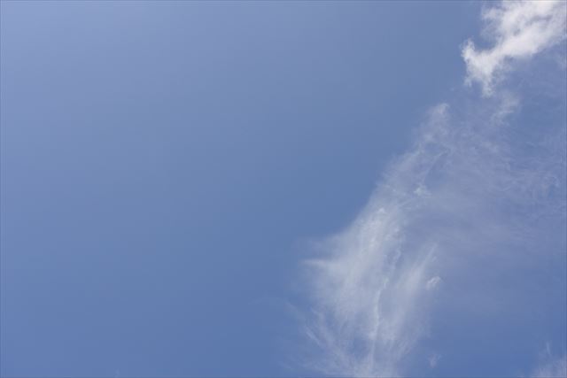 真っ青な空がきれい。思わず写真に撮りました