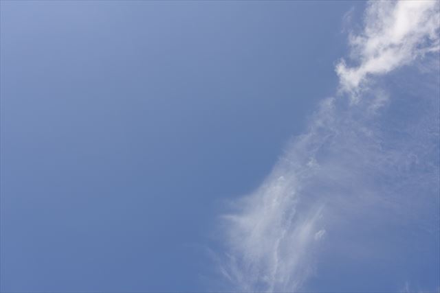 遠足です。いい天気になりました