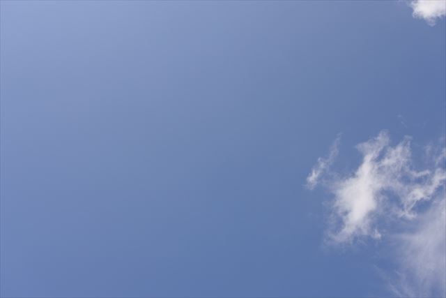 真っ青な空が広がっています。