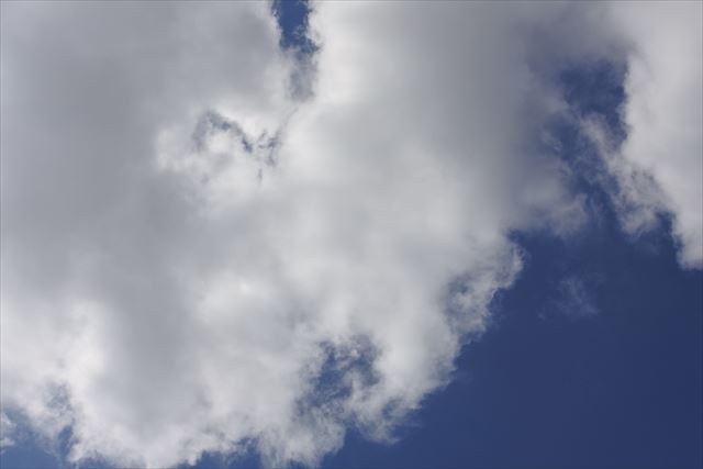 雨は降りそうもない。天気崩れずにいて欲しい
