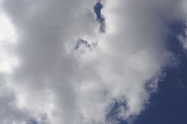 黒い雲がでてきました。お天気崩れるかな