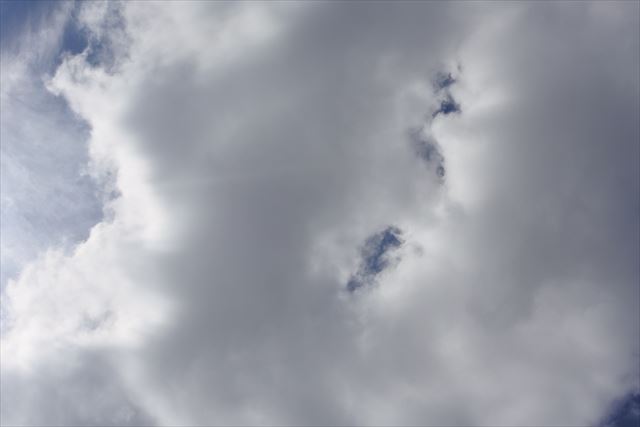 夕立ちがきそうです。よく晴れていたのだけれど