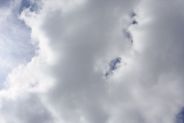 雨降るのかなぁ。天気が崩れてきました