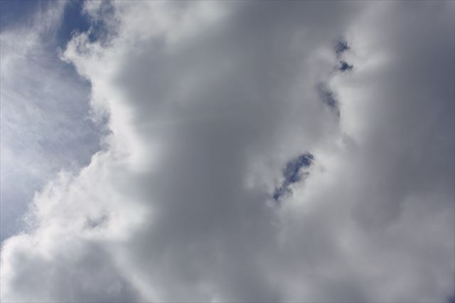 こりゃひと雨くるね。変わりやすい天気です