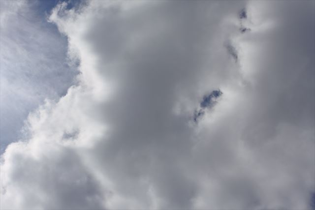 雨雲かな。いい天気だったのに空が暗くなってきました