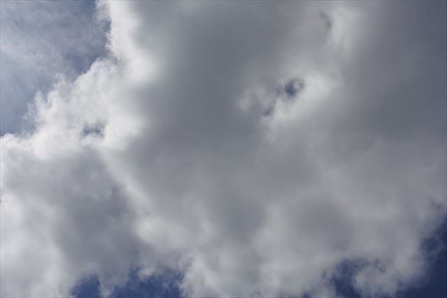 真夏の陽気。恵みの雨になりそう。