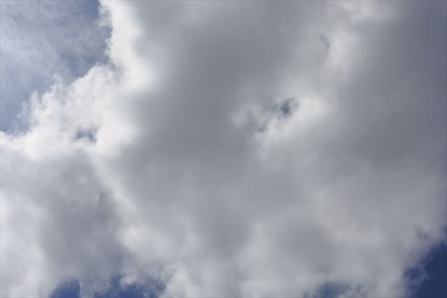 夕立ちが来そうな空模様になってきました