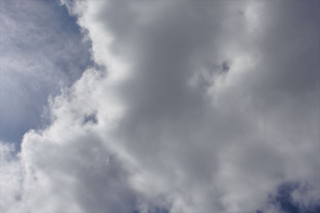 怪しい雲だなぁ。ひと雨くるかな。