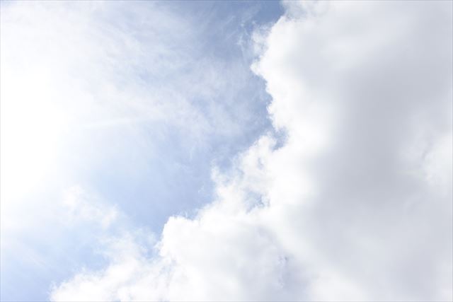 気持ちよく晴れています。陽射しが強いです