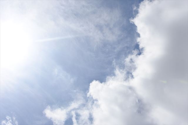 真夏の太陽。いいお天気