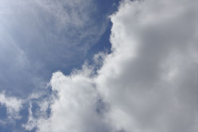 今日もいいお天気です